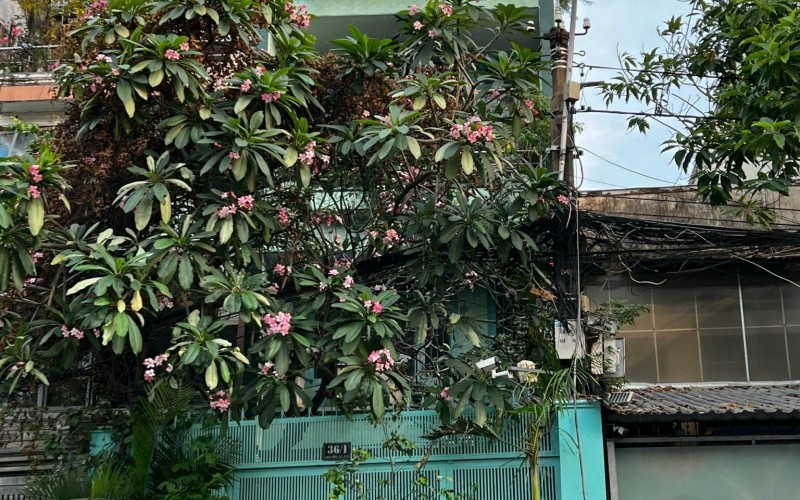 Bán Nhà Mặt Tiền 69 Chấn Hưng, 4,7m x 20m, 5 Tầng, Ngay Khu Bắc Hảii Quận 10